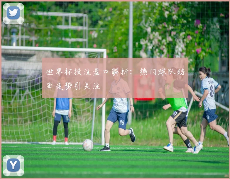 世界杯投注盘口解析：热门球队赔率走势引关注